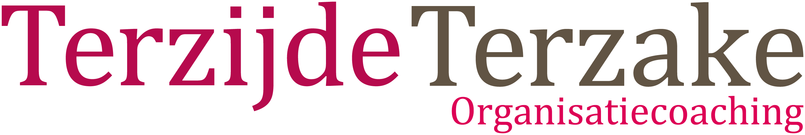 TerzijdeTerzake Logo